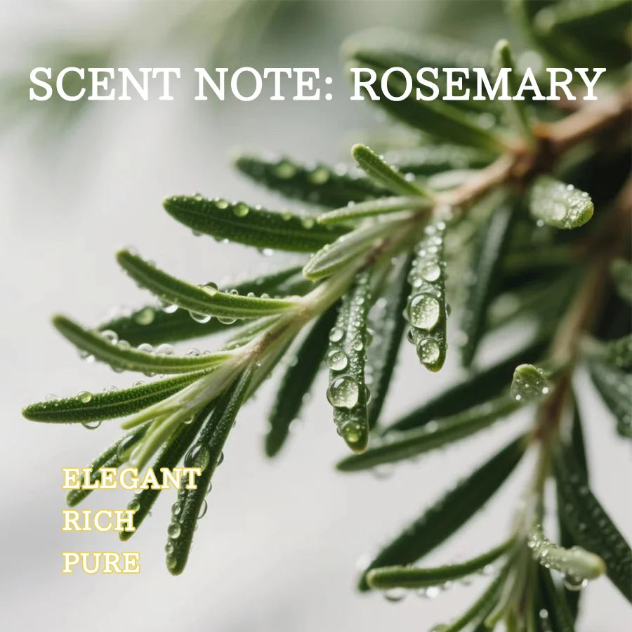 Rosemary Scented Candle 3oz, For Meditation, Yoga, SPA, Aesthetic Home & Desk Decor, Birthday , Unisex Party Favor & Small Gift